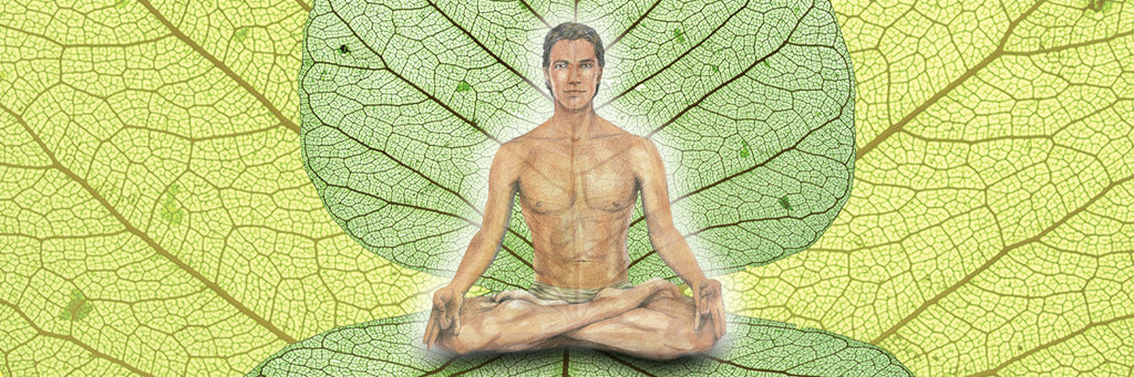 Alteratives: The Herbal Blood Cleansers