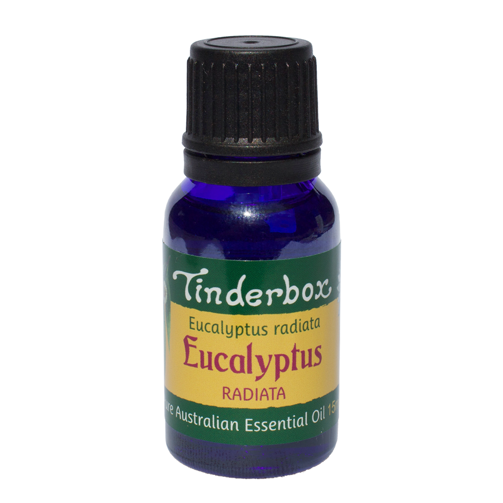 Eucalyptus Radiata Australian Essential Oil