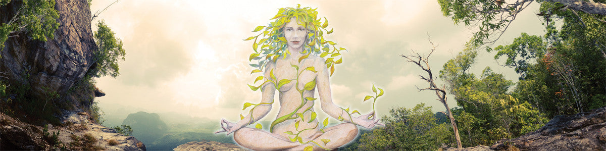Special feature: Respiratory Herbs