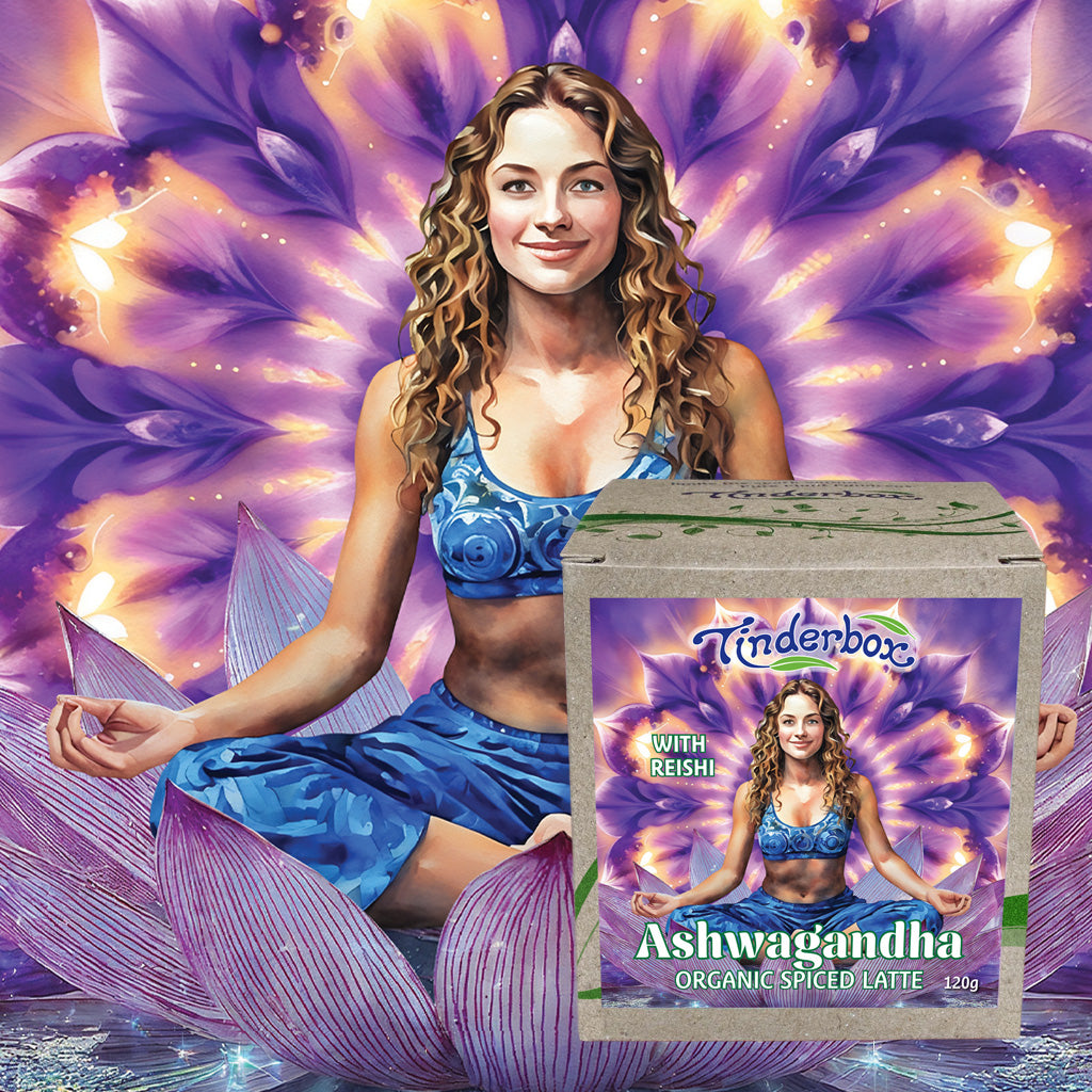 Ashwagandha Organic Spiced Latte 120g
