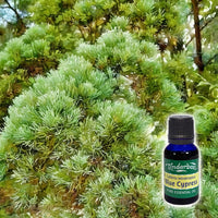 Blue Cypress 15mL