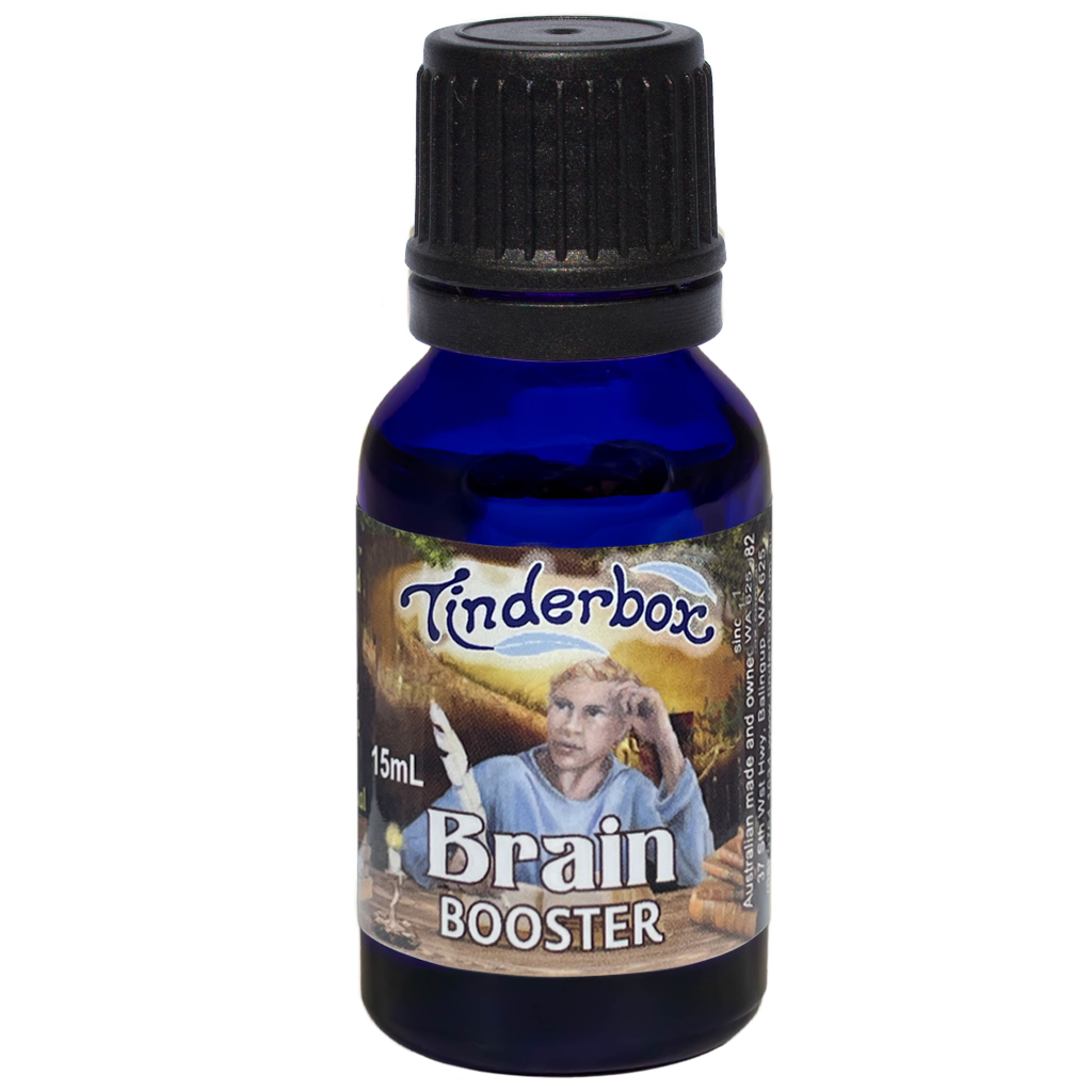 Brain Booster Kit