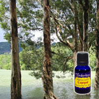 Cajeput Essential Oil 15mL