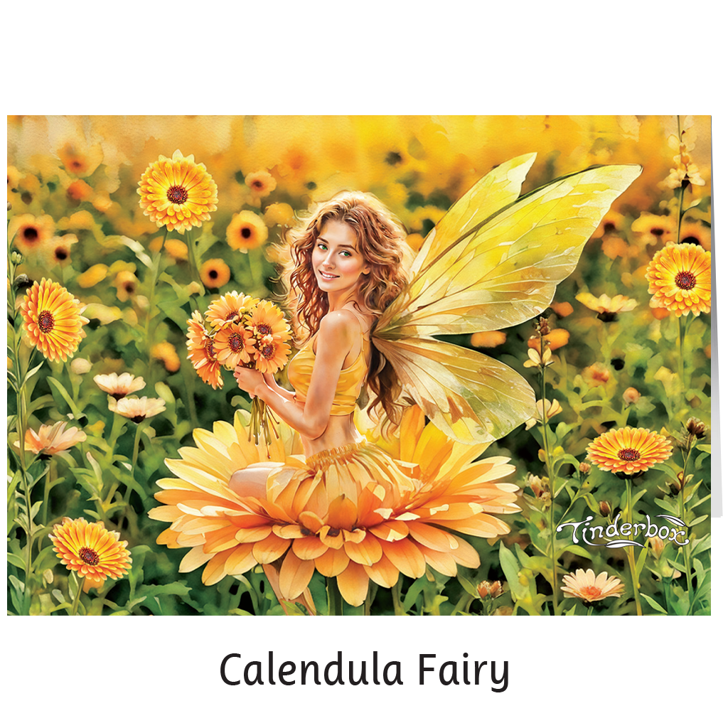 Greeting Cards