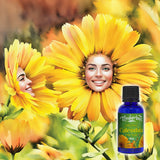 Calendula Tincture 30mL