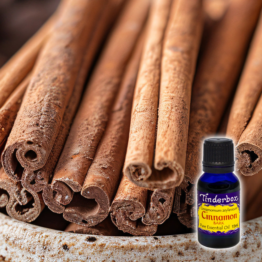 Cinnamon Bark Essential Oil 15mL