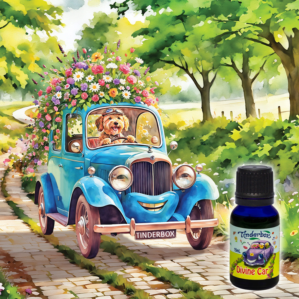 Divine Car Kit