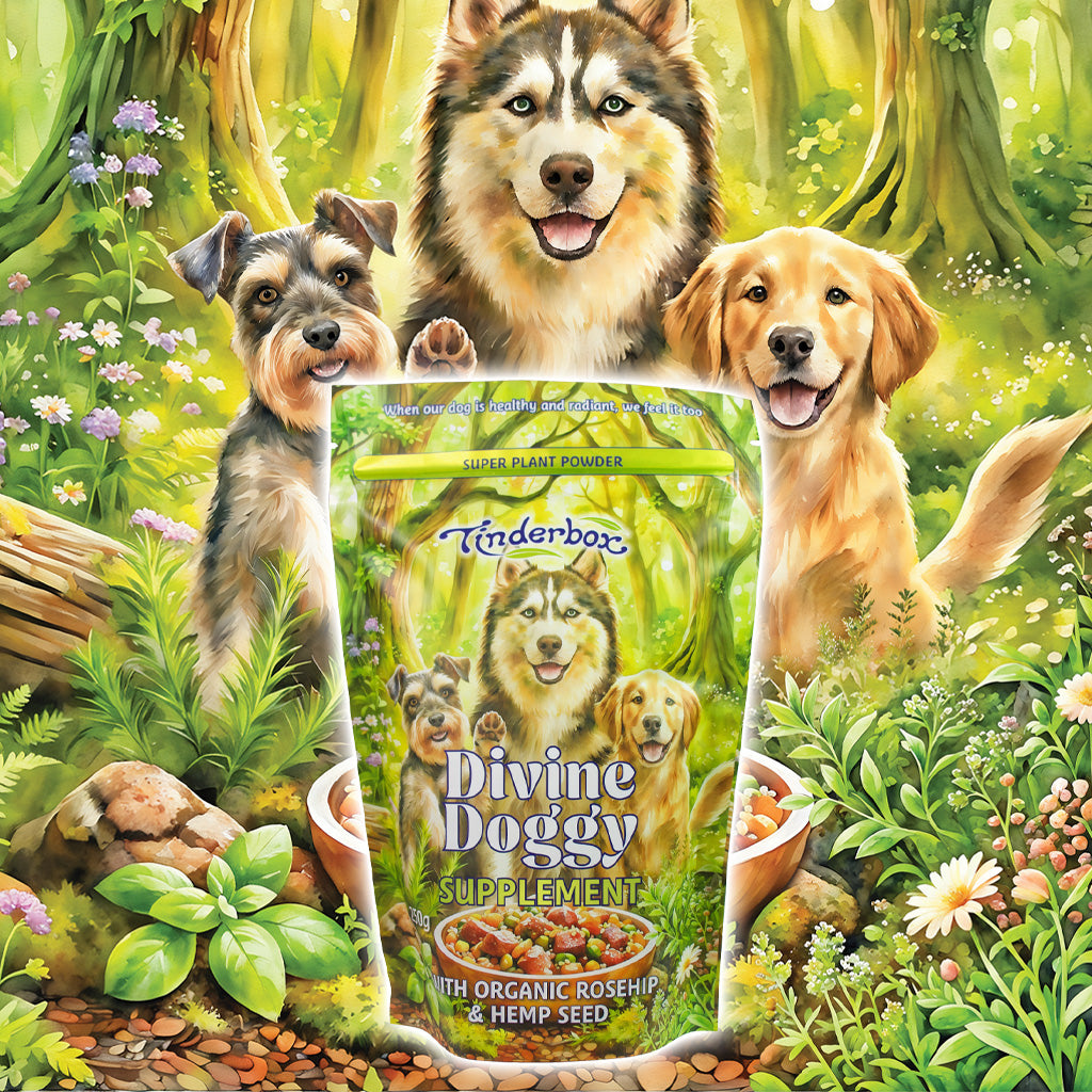 Divine Doggy Supplement with Hemp Seed 250g - Organic