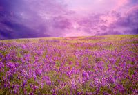 Lavender Gift Box