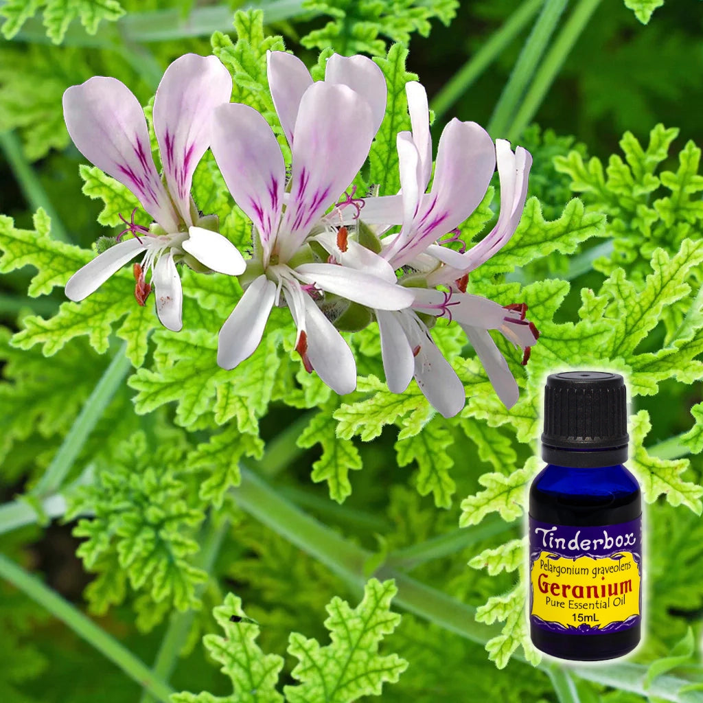 Geranium Essential Oil 15mL