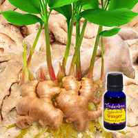 Ginger Essential Oil 15mL