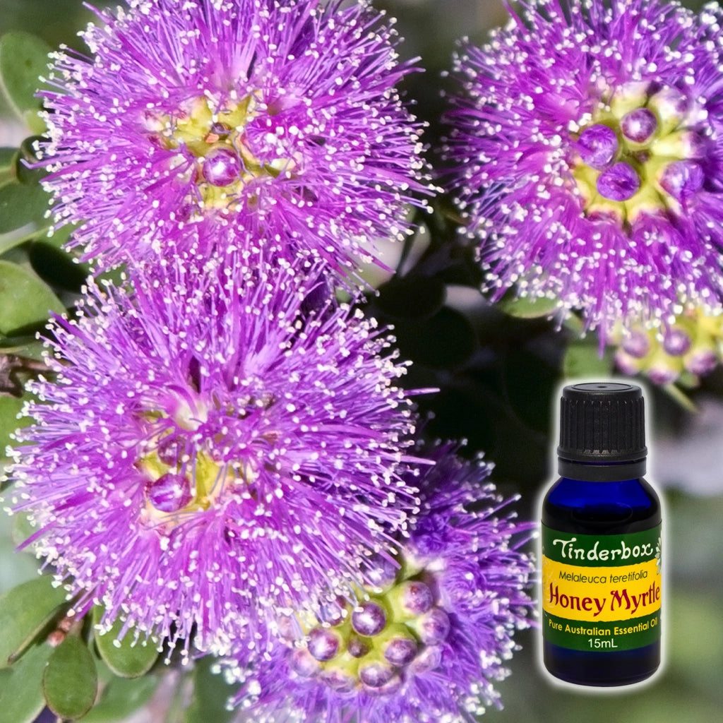 Honey Myrtle Essential Oil 15mL