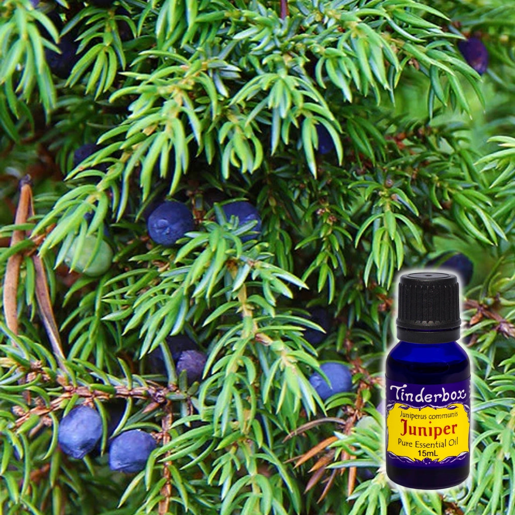 Juniper Berry Essential Oil 15mL