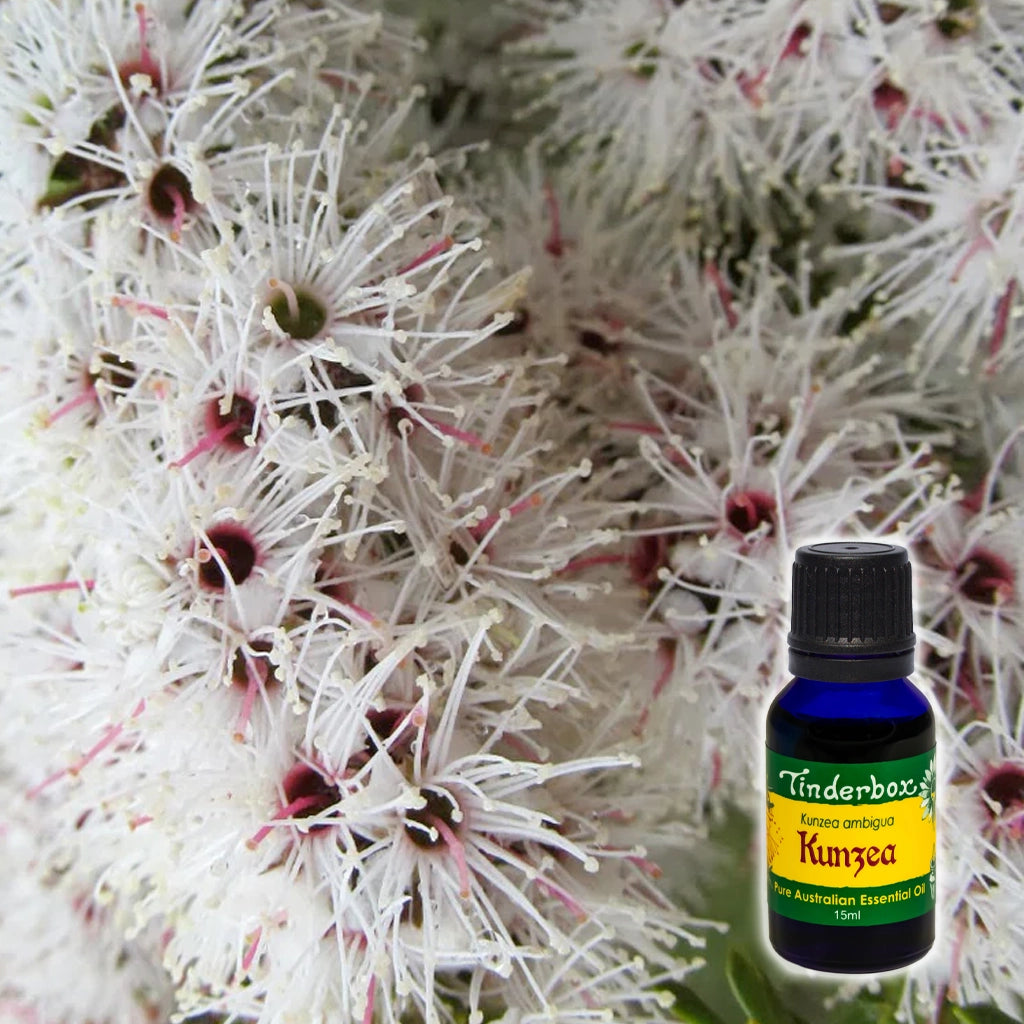 Kunzea Essential Oil 15mL