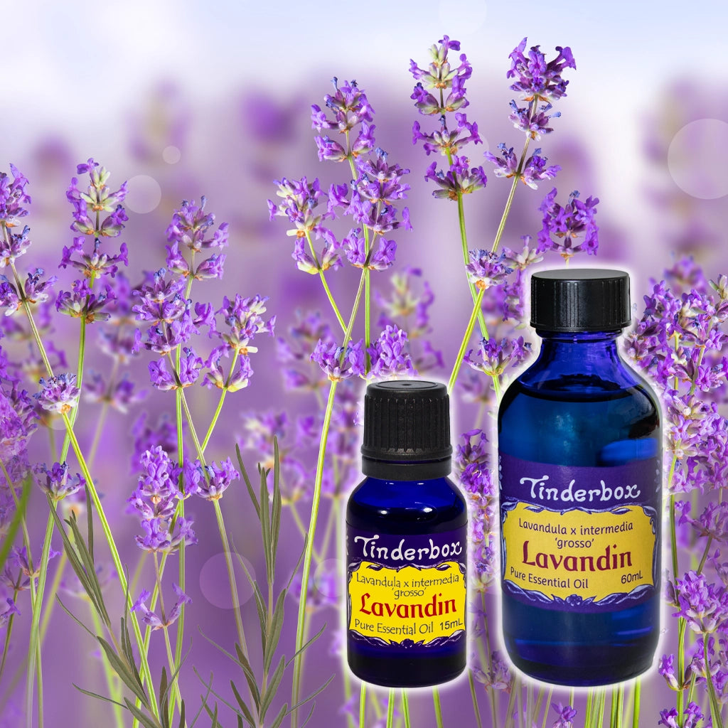 Lavandin Essential Oil (Lavender)