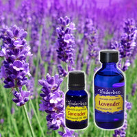 Lavender angustifolia Essential Oil