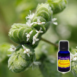 Marjoram Essential Oil 15mL