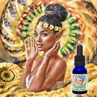 Mullein Ear Oil 15mL