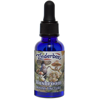 Mushroom Brahmi Tincture 30mL