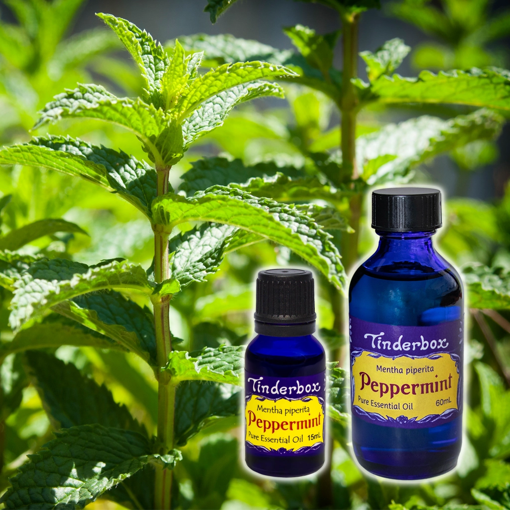 Peppermint Essential Oil