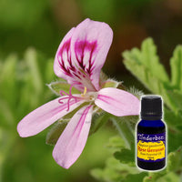 Rose Geranium Essential Oil 15mL