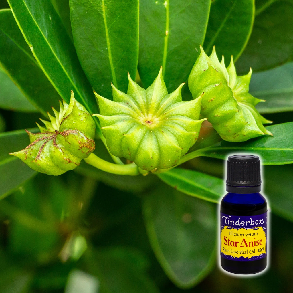 Star Anise Essential Oil 15mL