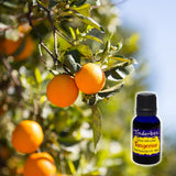 Tangerine Essential Oil 15mL