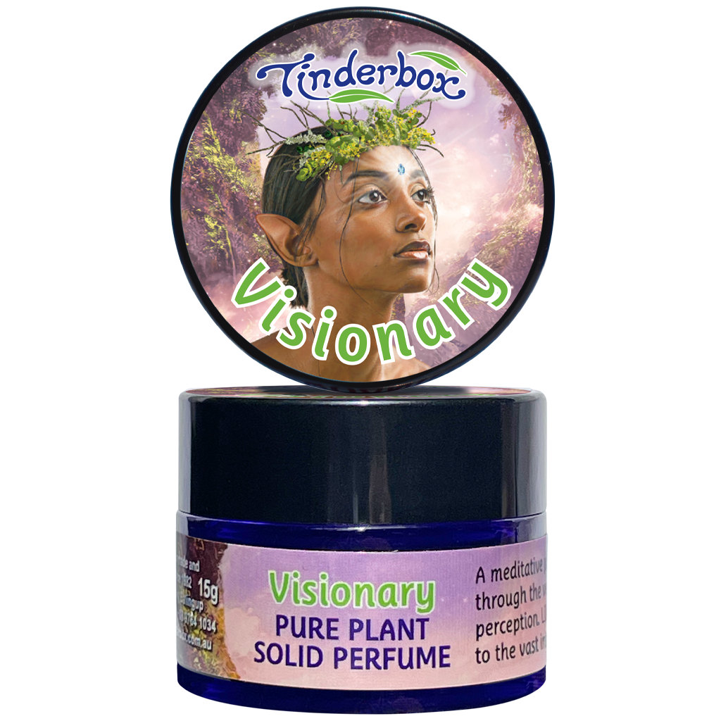 Visionary Solid Perfume 15g
