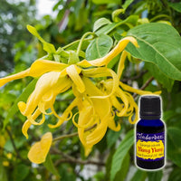 Ylang Ylang Essential Oil 15mL