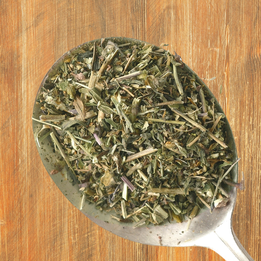 vervain