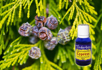 Cypress Essential Oil 15mL
