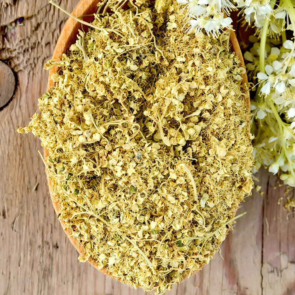 meadowsweet
