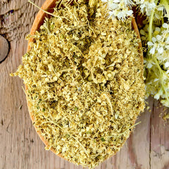 meadowsweet